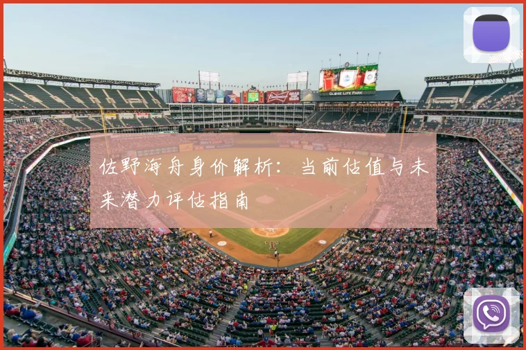 佐野海舟身价解析:当前估值与未来潜力评估指南