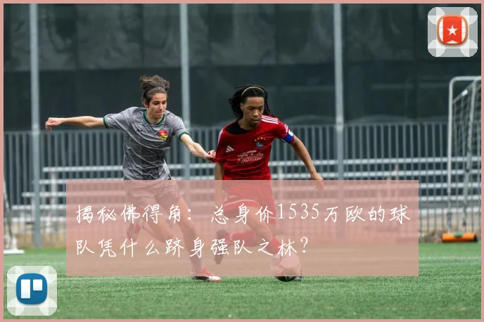 揭秘佛得角：总身价1535万欧的球队凭什么跻身强队之林？